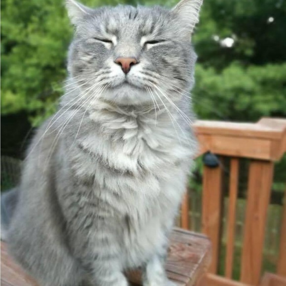 queen_of_beast
